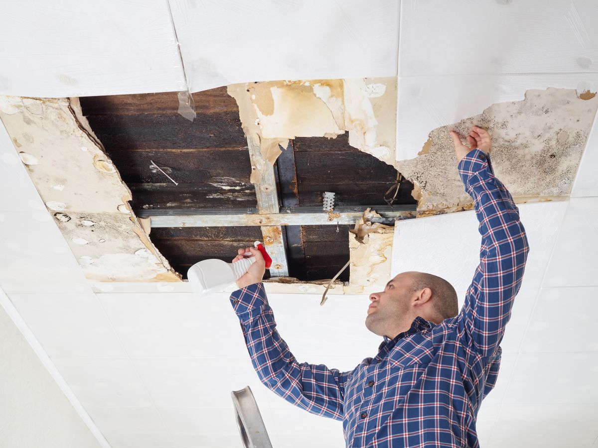 Water Damage,